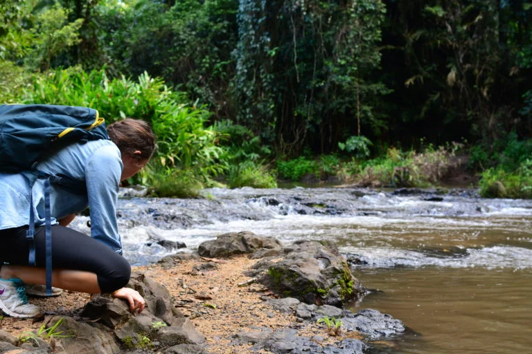 Woman with a backpack crouching on rocks beside a creek in the rainforest while camping