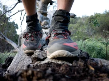 Close-up of hiking shoes stepping over uneven rocks and logs on a bush trail